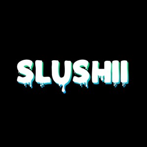 Slushii @ Worldwide Stage, Ultra Music Festival Miami 2017