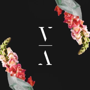 Ashibah - It's All Love
